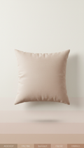 Velvet accent pillow in champagne blush